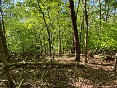 0 Misty Mountain Road, Lynch Station, VA 24571