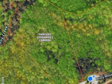 0 Misty Mountain Road, Lynch Station, VA 24571