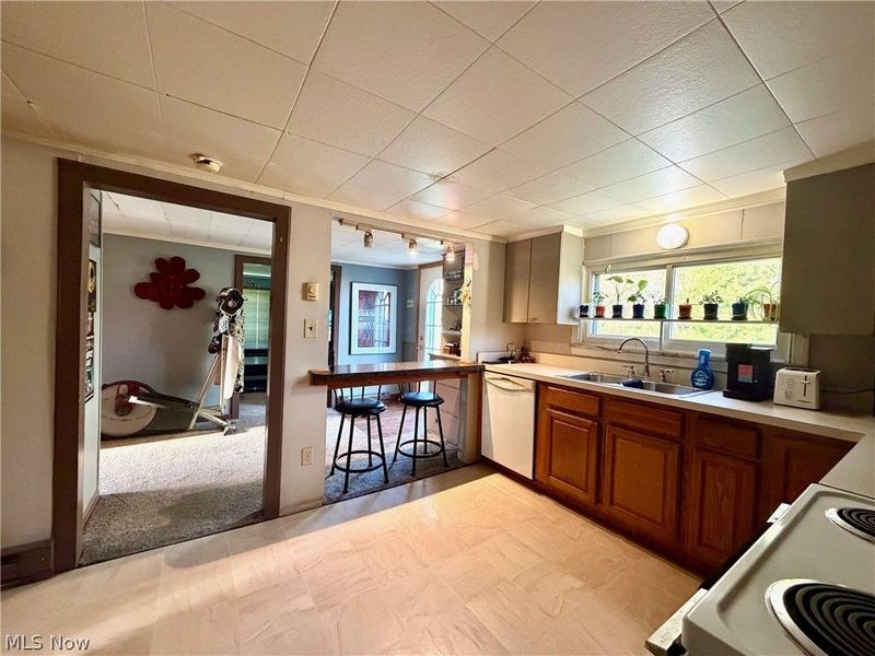 13268 Shady Lane, Chesterland, OH 44026 Photo 11