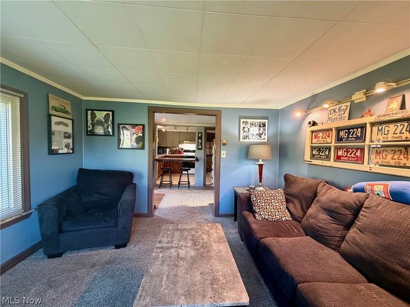 13268 Shady Lane, Chesterland, OH 44026 Photo 13