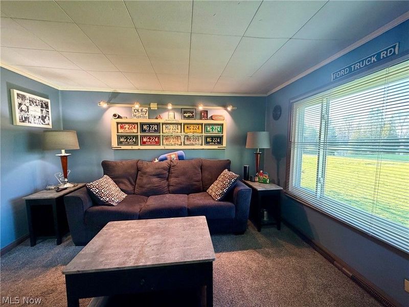 13268 Shady Lane, Chesterland, OH 44026 Photo 13