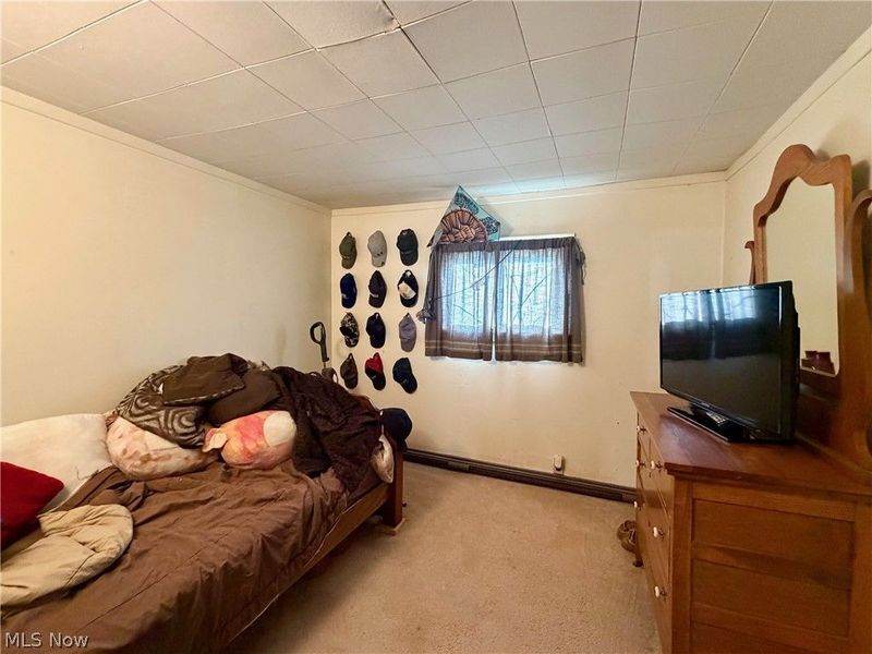 13268 Shady Lane, Chesterland, OH 44026 Photo 16