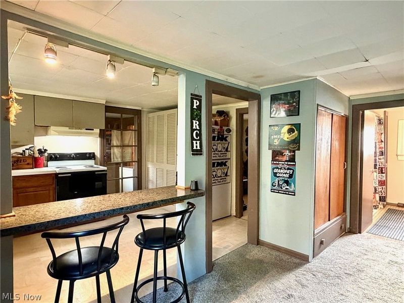 13268 Shady Lane, Chesterland, OH 44026 Photo 6