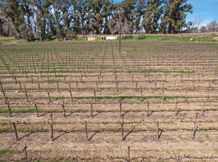 16550 State Highway 160, Isleton, CA 95641 Photo