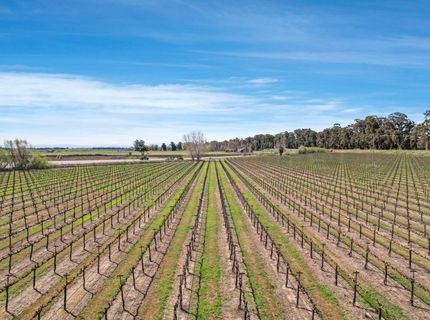 16550 State Highway 160, Isleton, CA 95641 Photo