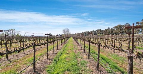 16550 State Highway 160, Isleton, CA 95641 Photo