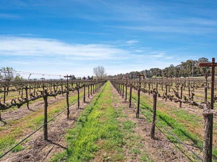 16550 State Highway 160, Isleton, CA 95641 Photo