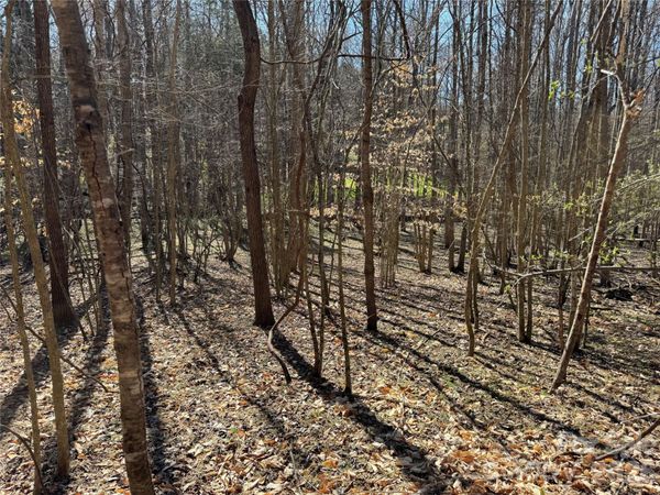 11490 King James Boulevard, Davidson, NC 28036