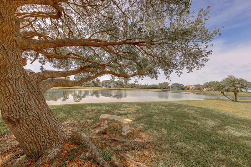 2106 Pelican Court, Tarpon Springs, FL 34689 Photo