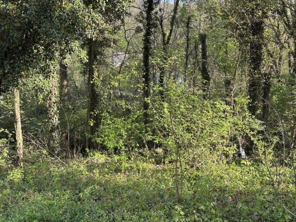 Lot 15 Ashley Street, Kingsport, TN 37664