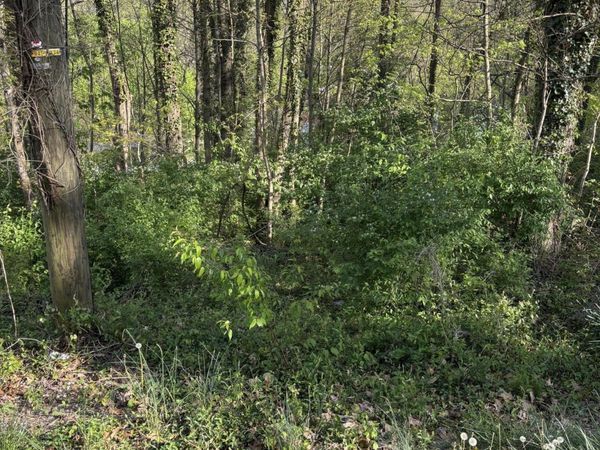 Lot 16 Ashley Street, Kingsport, TN 37664