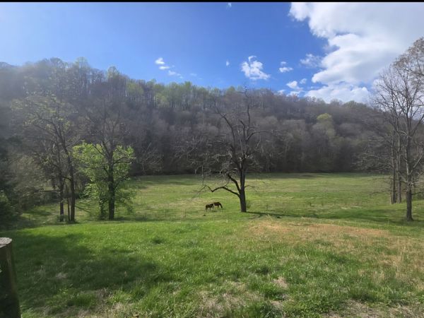 109 Creek Bend Ln, Manchester, TN 37355