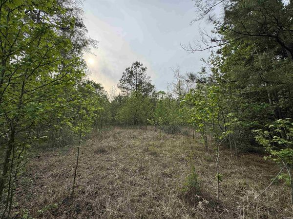 Lot 117 Red Oak, Camden, AR 71701