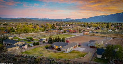 969 Riverview Drive, Gardnerville, NV 89460 Photo