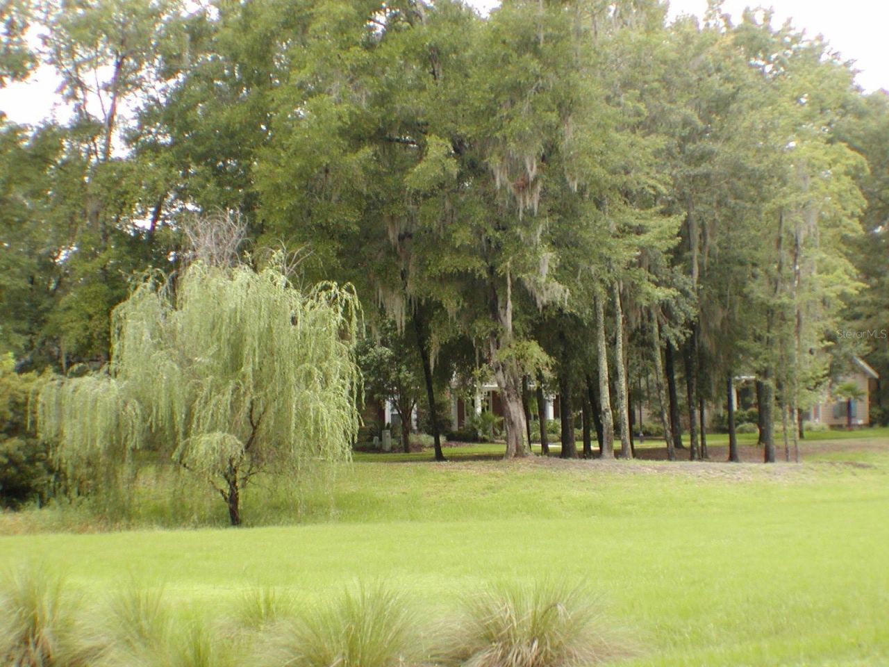 13265 SW 6th Avenue , Newberry, FL 32669 Photo