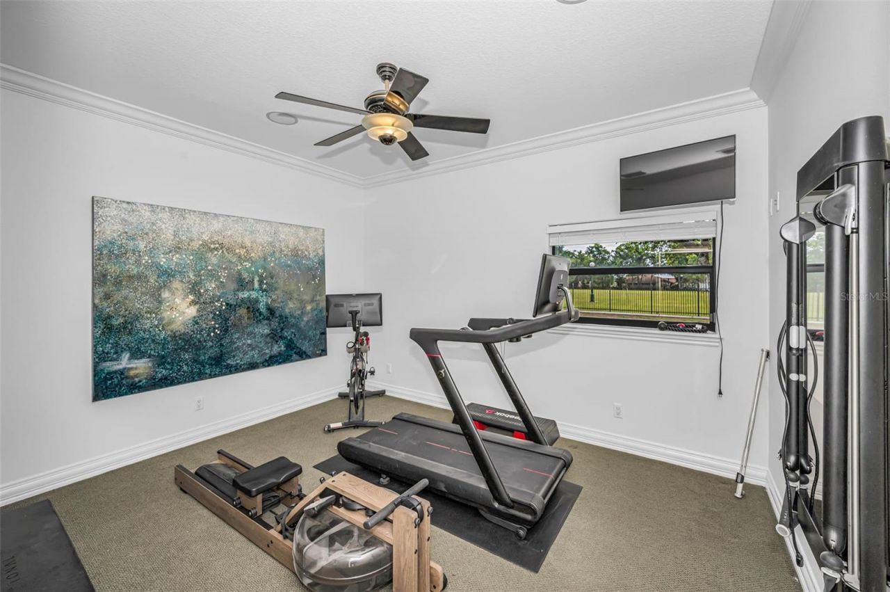 2521 Lake Ellen Drive, Tampa, FL 33618 Photo