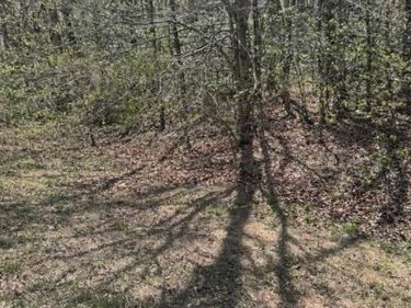 8839 OLD BLOCK HOUSE LANE , SPOTSYLVANIA, VA 22551