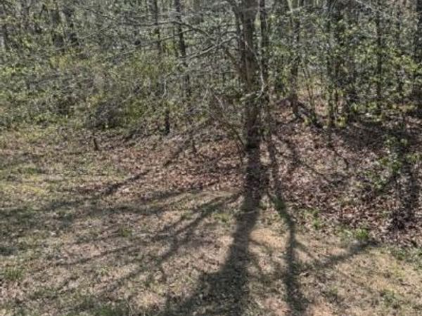 8839 OLD BLOCK HOUSE LANE , SPOTSYLVANIA, VA 22551