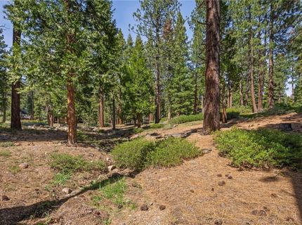 568 Antler Court, Incline Village, NV 89451 Photo