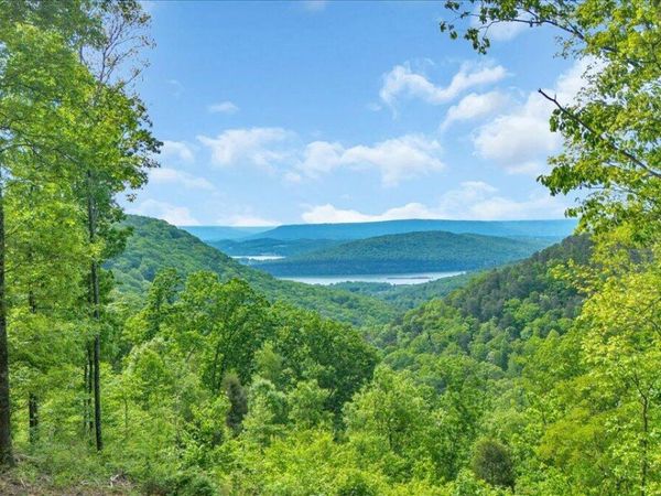 1755 Birds Eye Way, Guild, TN 37340