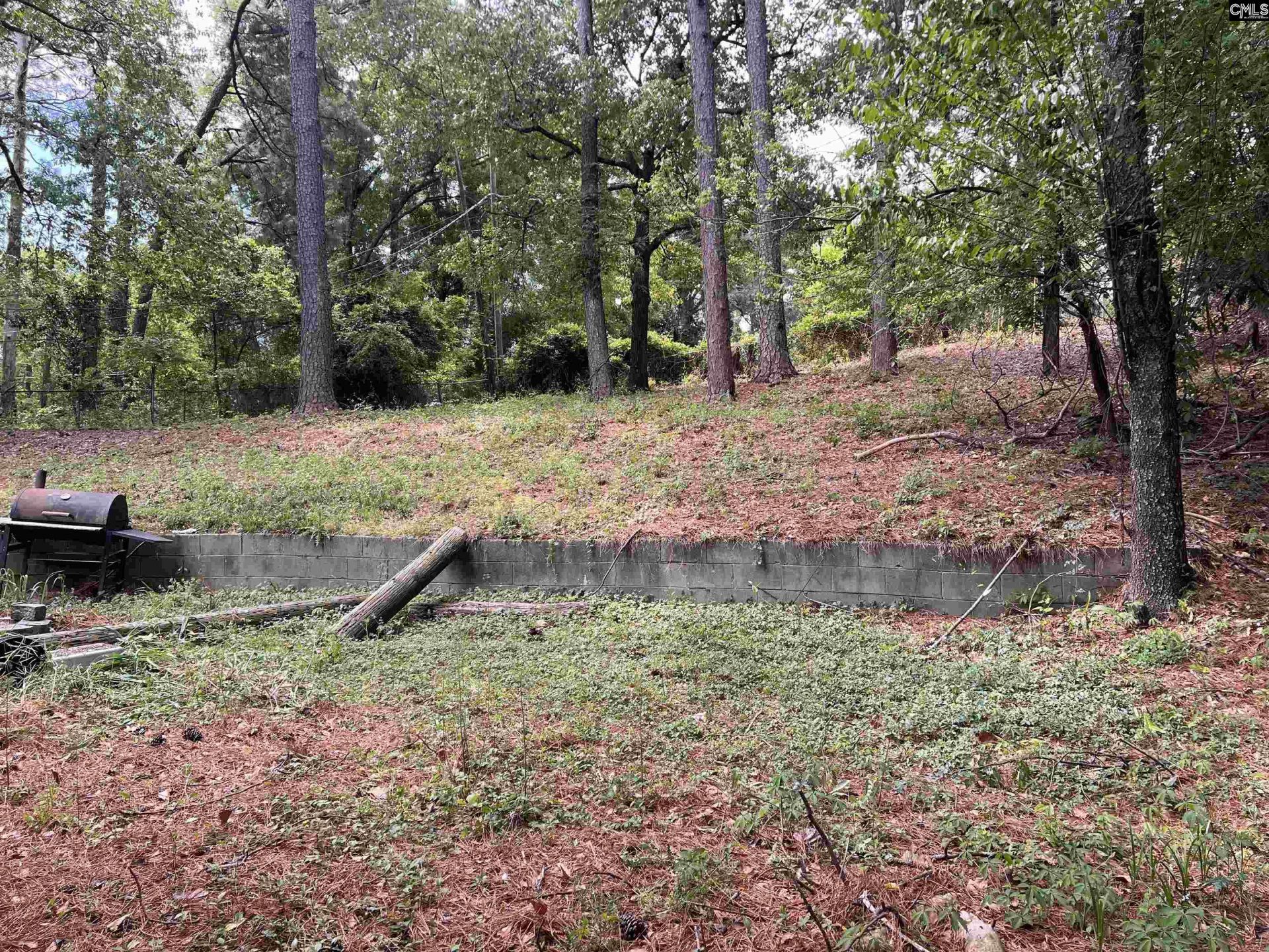 2529 Windsor Road  Photo 6