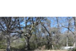 1247 Parkhill Dr. photo 4