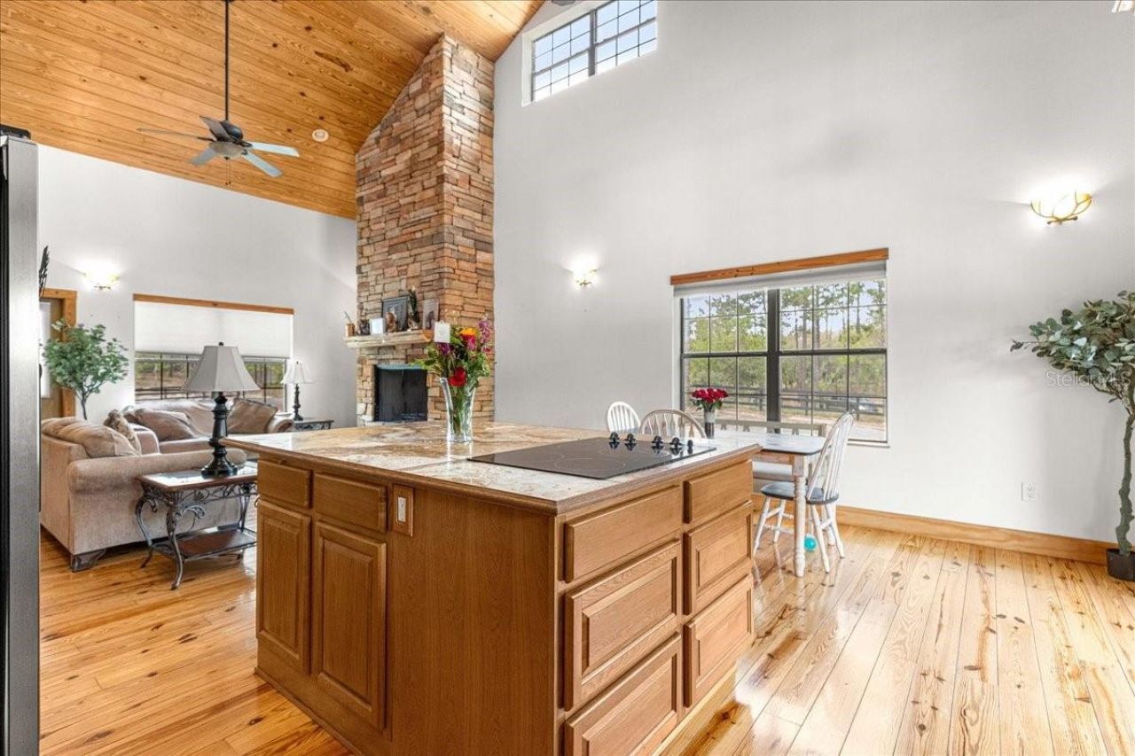 2271 SE 147th Avenue , Morriston, FL 32668 Photo