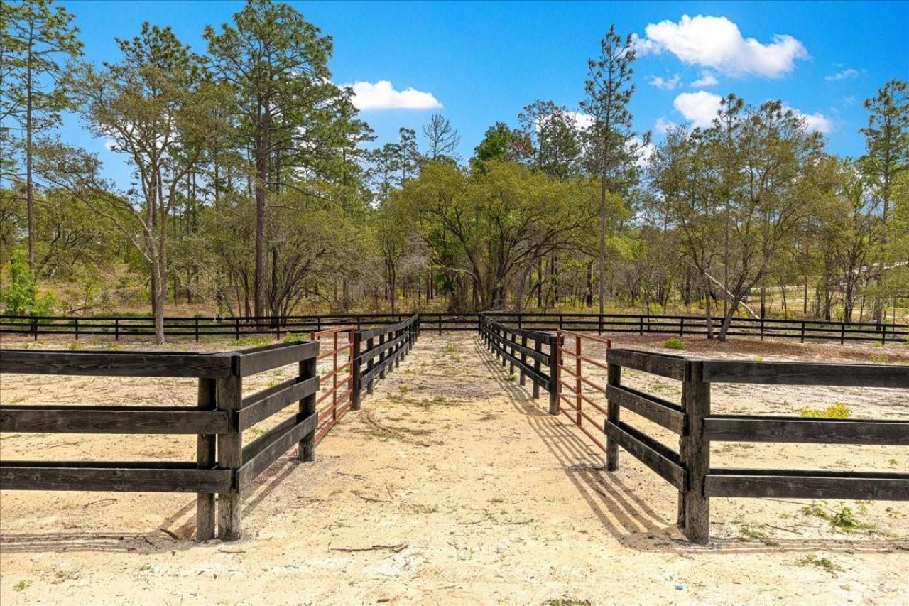 2271 SE 147th Avenue , Morriston, FL 32668 Photo