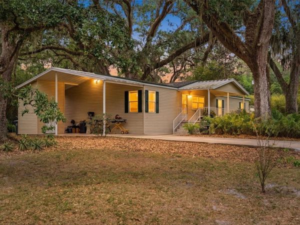 9101 WOOD TERRACE DRIVE , TAMPA, FL 33637