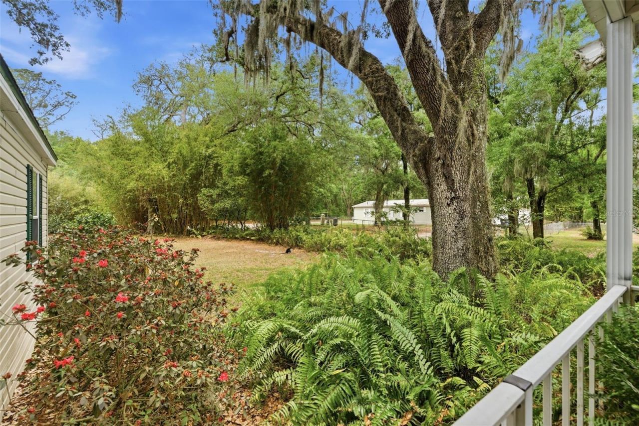 9101 Wood Terrace Drive , Tampa, FL 33637 Photo