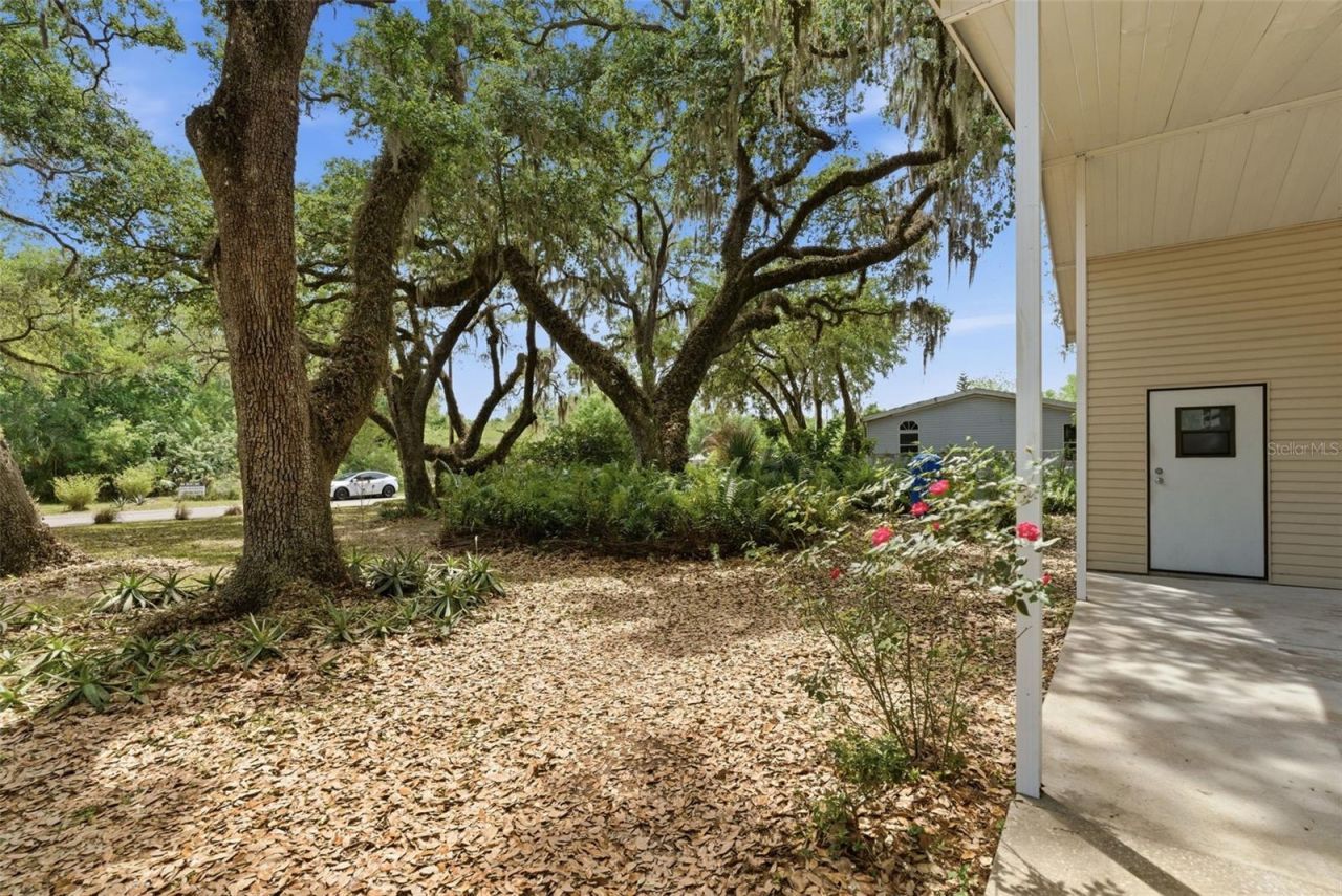 9101 Wood Terrace Drive , Tampa, FL 33637 Photo