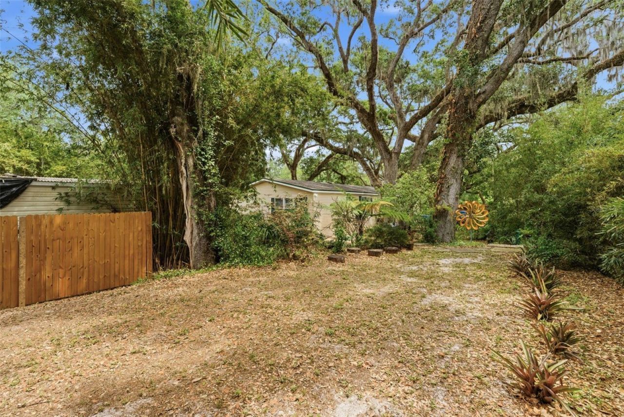 9101 Wood Terrace Drive , Tampa, FL 33637 Photo