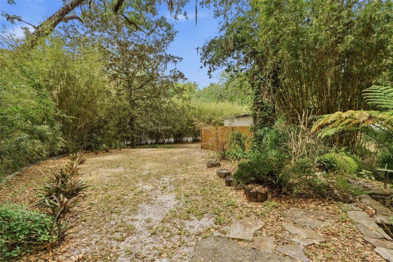 9101 Wood Terrace Drive , Tampa, FL 33637 Photo