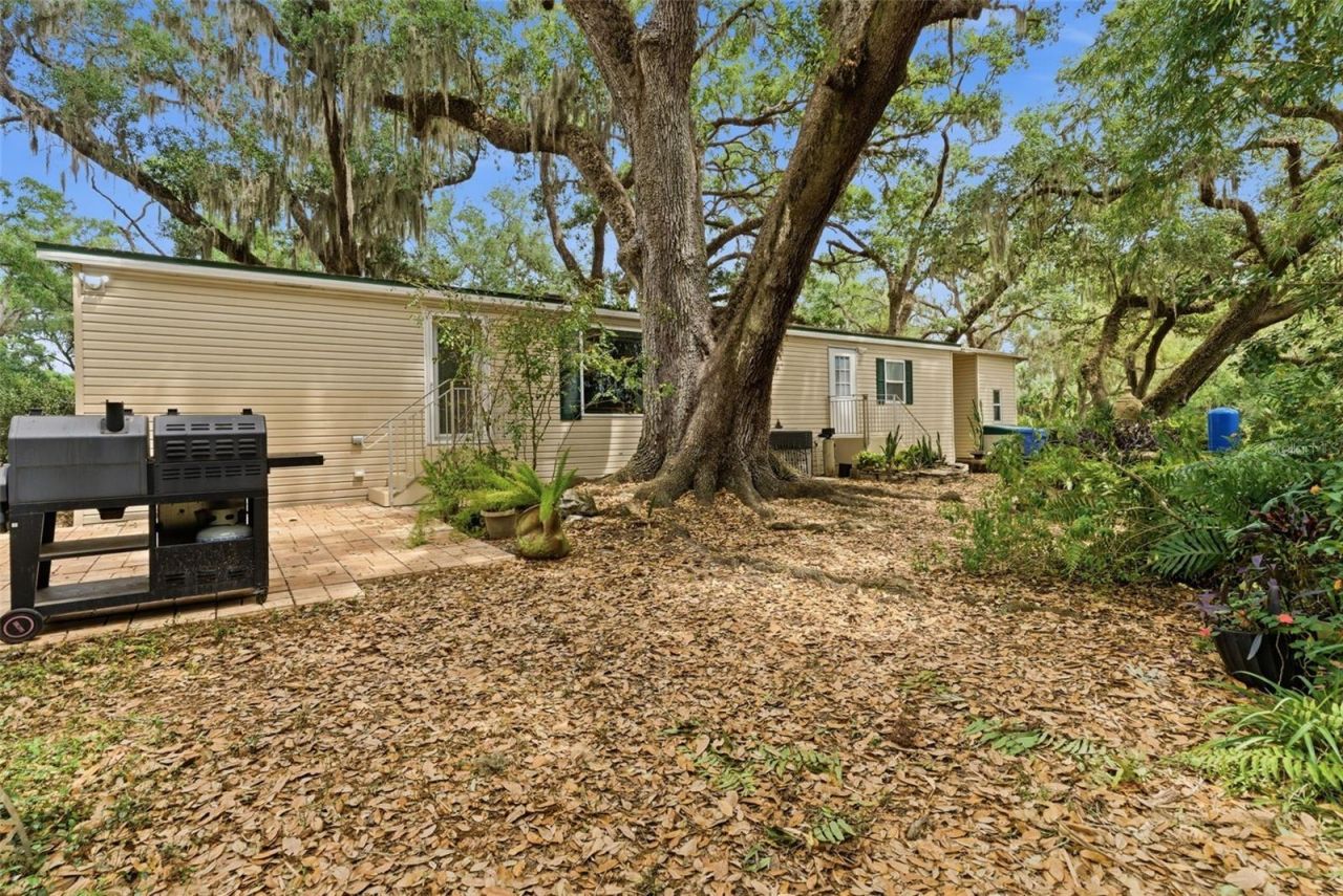 9101 Wood Terrace Drive , Tampa, FL 33637 Photo