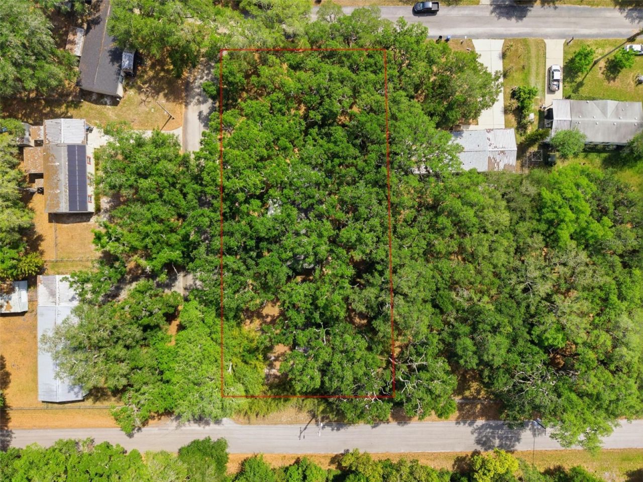 9101 Wood Terrace Drive , Tampa, FL 33637 Photo