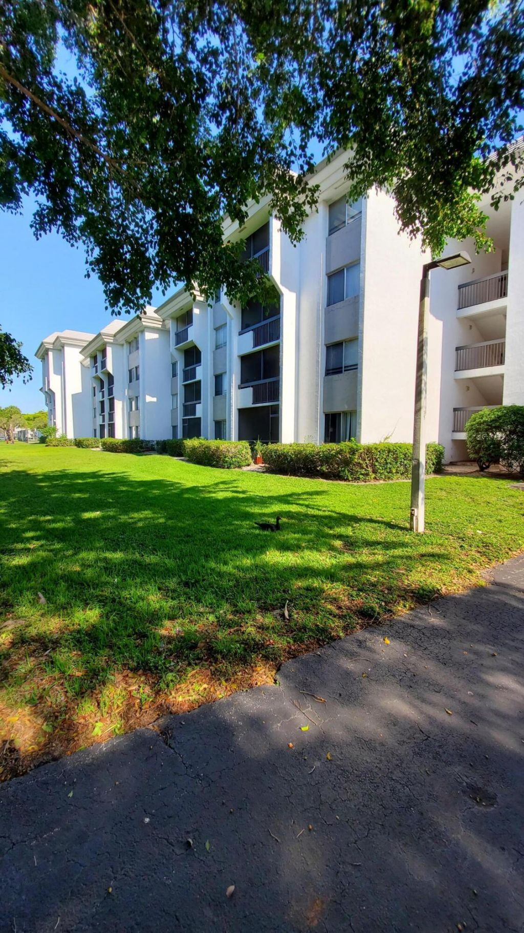 721 N Pine Island Road, Unit 103, Plantation, FL 33324 Photo
