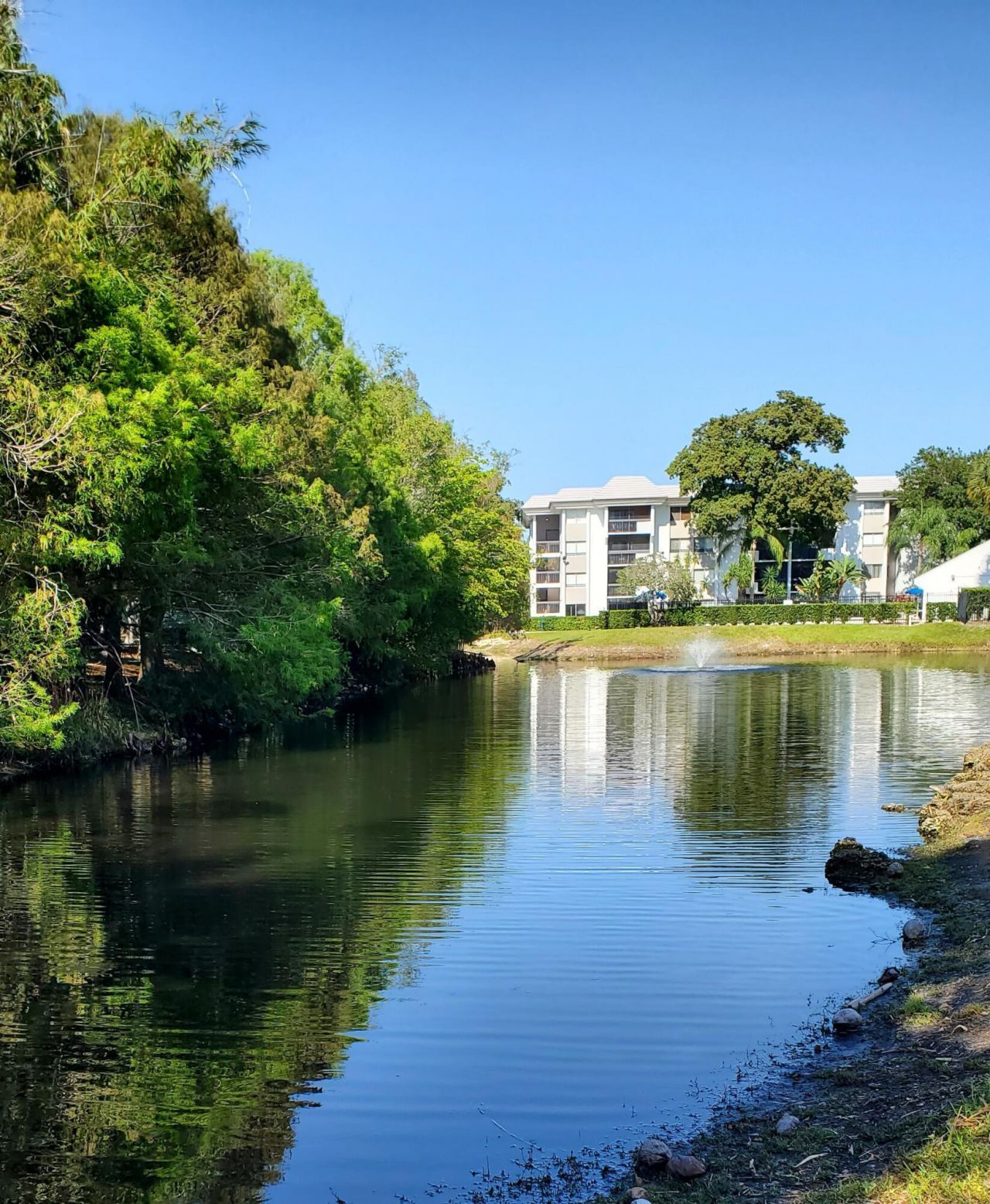 721 N Pine Island Road, Unit 103, Plantation, FL 33324 Photo