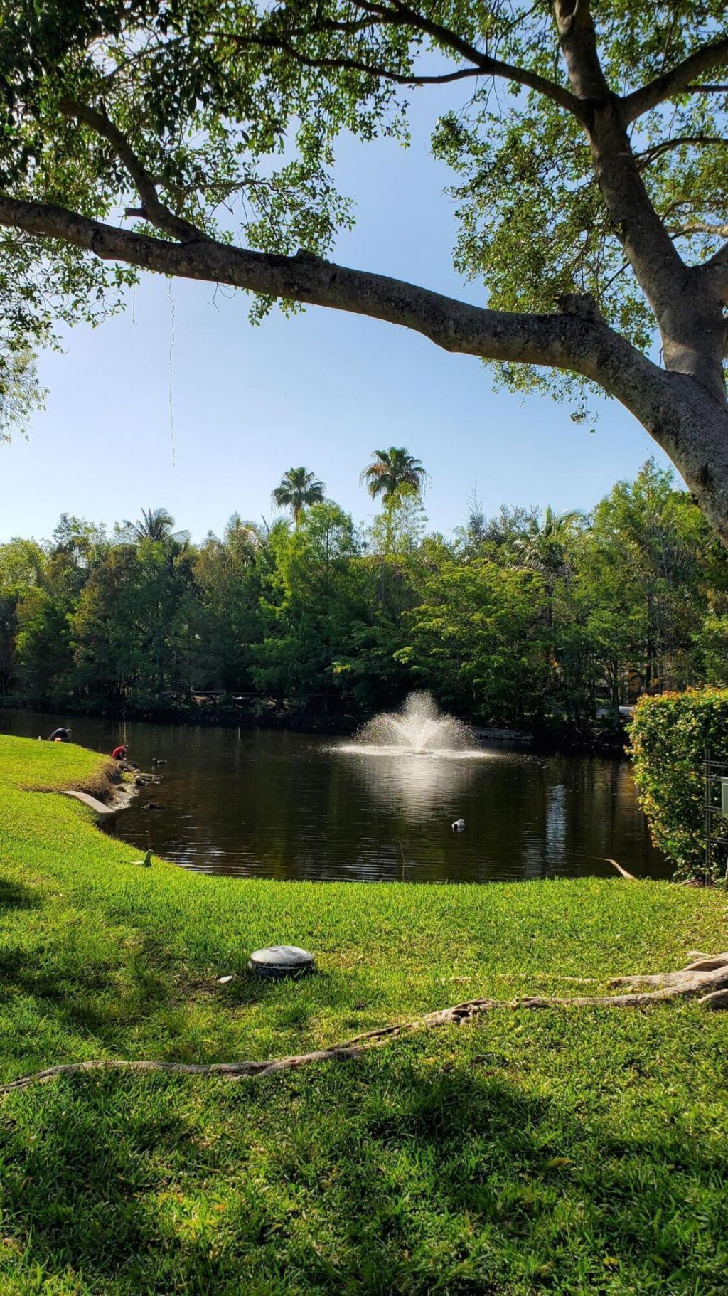 721 N Pine Island Road, Unit 103, Plantation, FL 33324 Photo