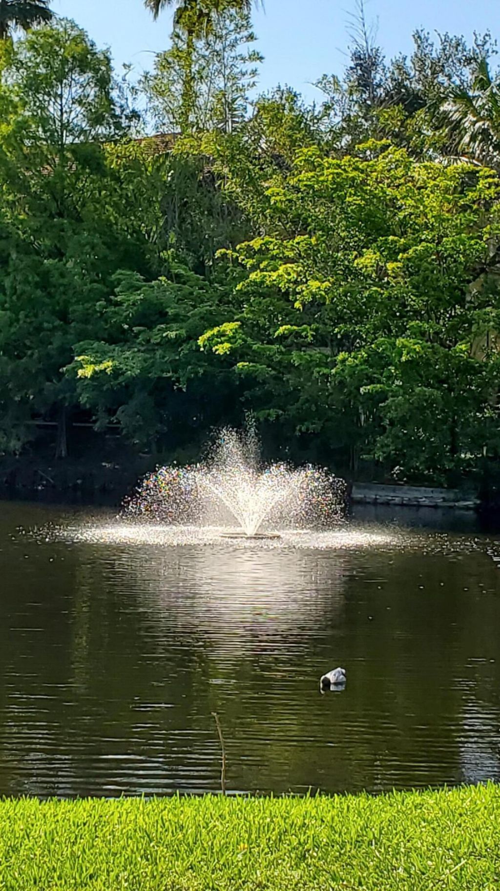 721 N Pine Island Road, Unit 103, Plantation, FL 33324 Photo