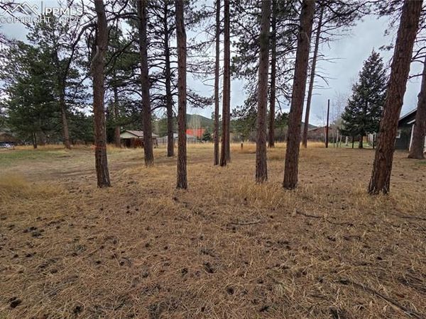 224 S Fairview Street, Woodland Park, CO 80863