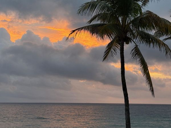 6000 N Ocean Boulevard, Unit 2d, Lauderdale-By-The-Sea, FL 33308