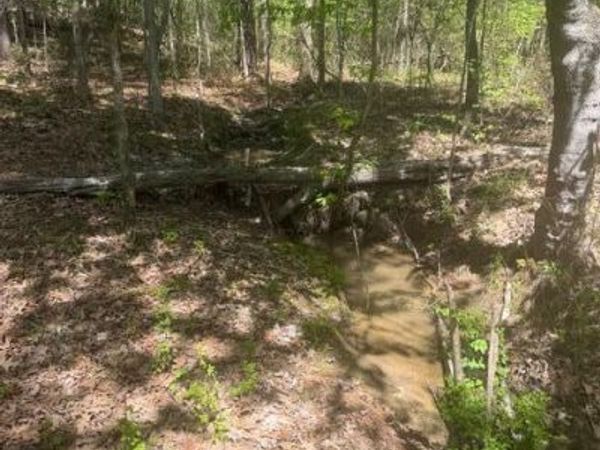 8 Acres Elkmont Road, Cleveland, TN 37312