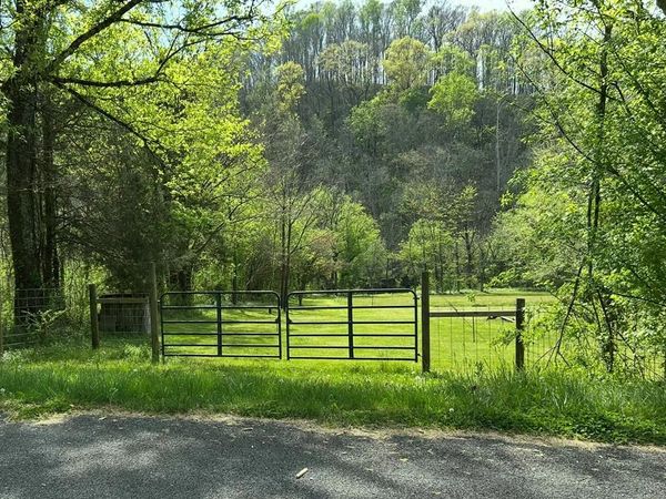6002 Wet Mill Creek Rd, Celina, TN 38551