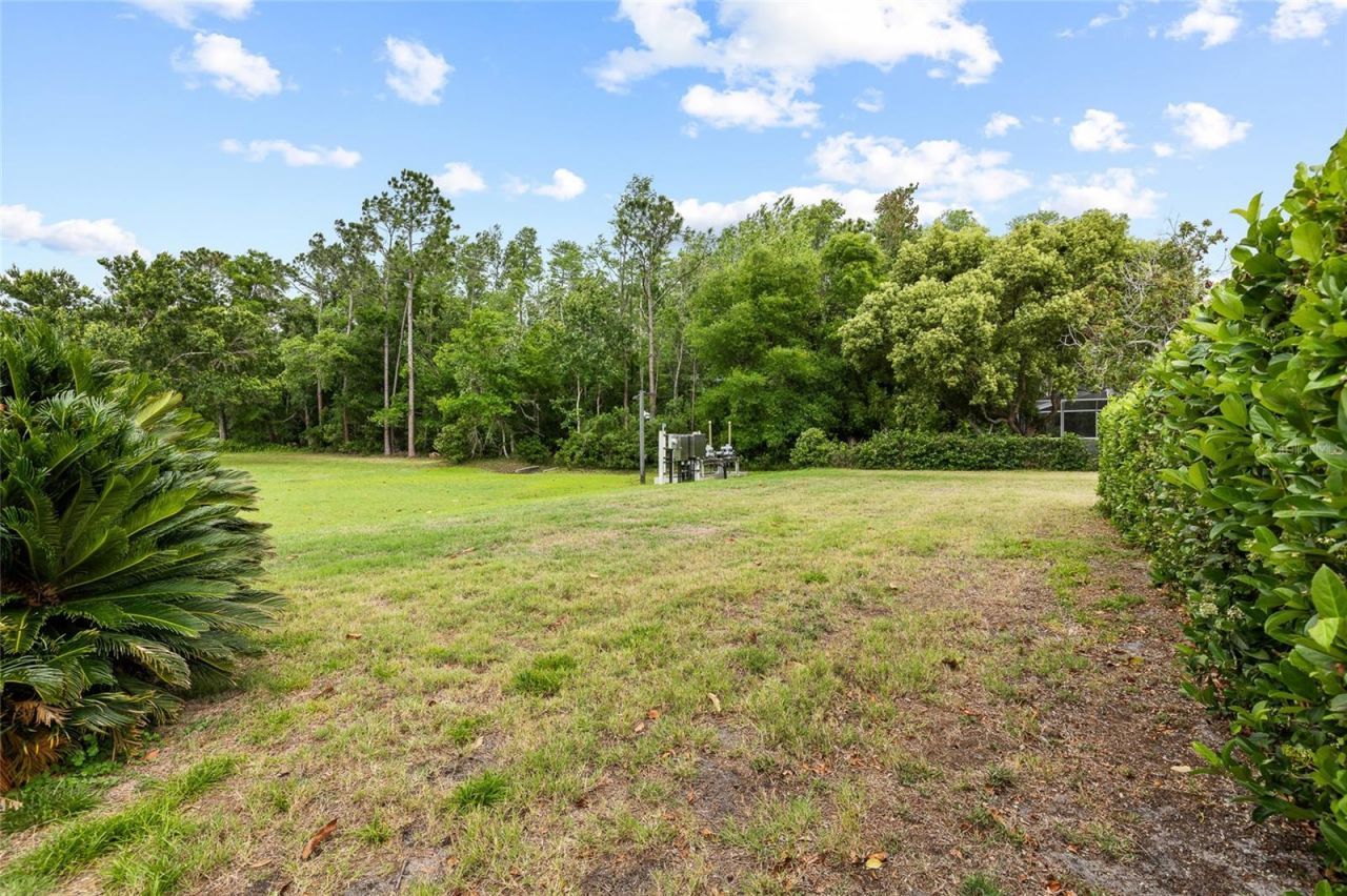 1442 Kinsmere Drive , Trinity, FL 34655 Photo