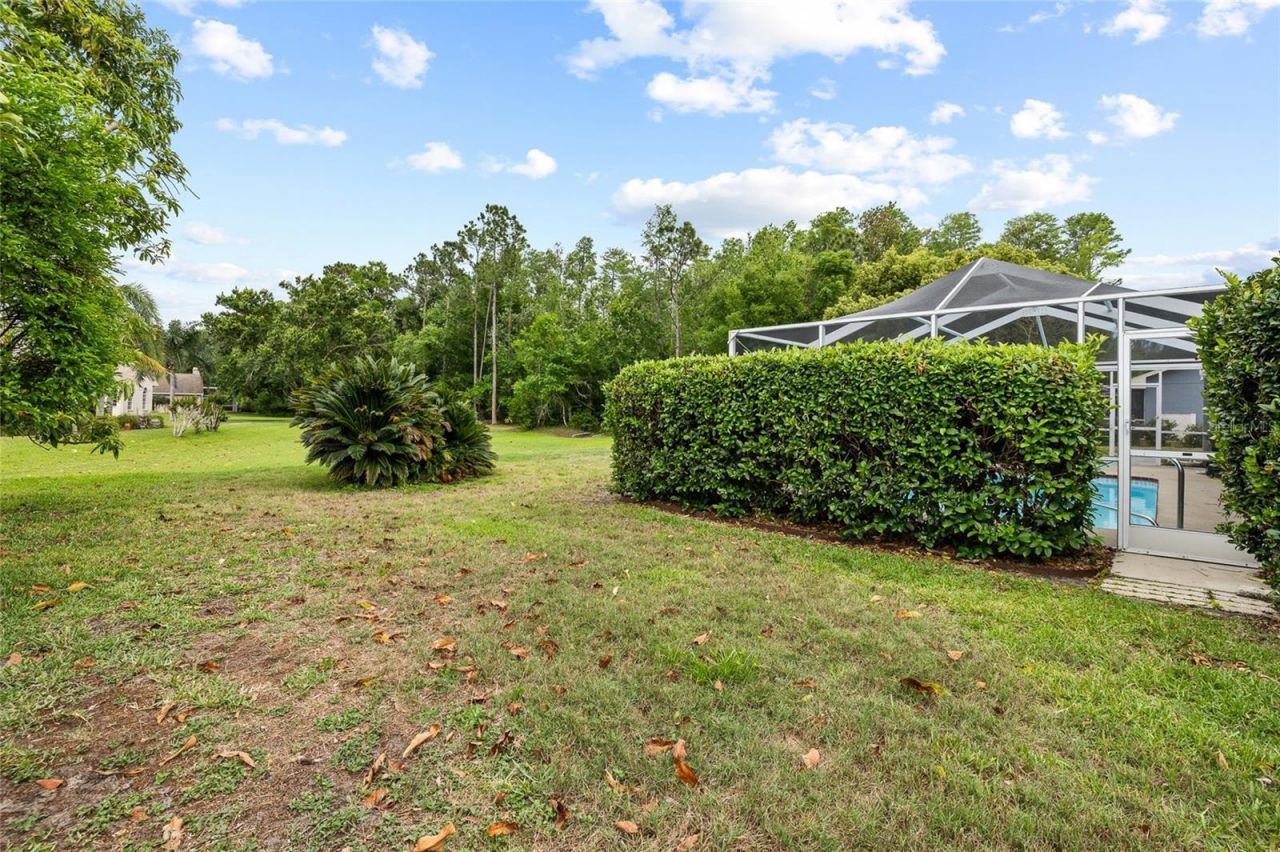 1442 Kinsmere Drive, Trinity, FL 34655 Photo