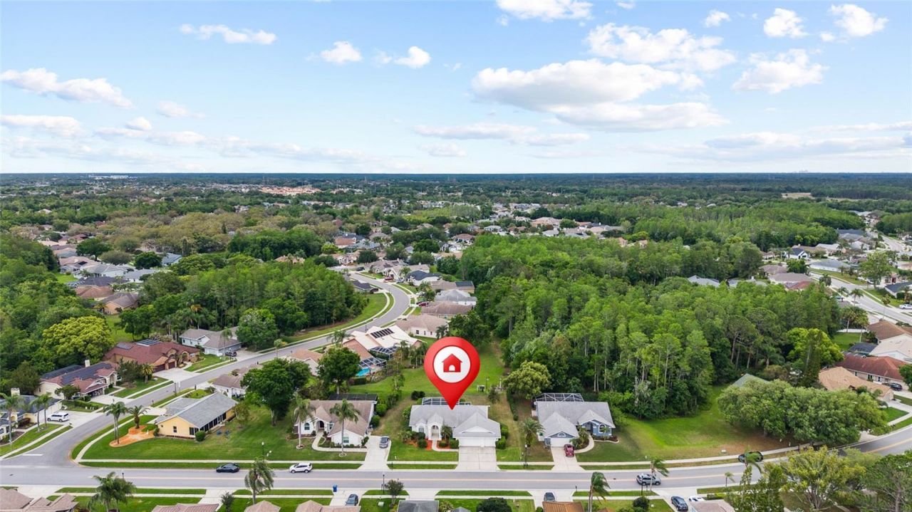 1442 Kinsmere Drive, Trinity, FL 34655 Photo