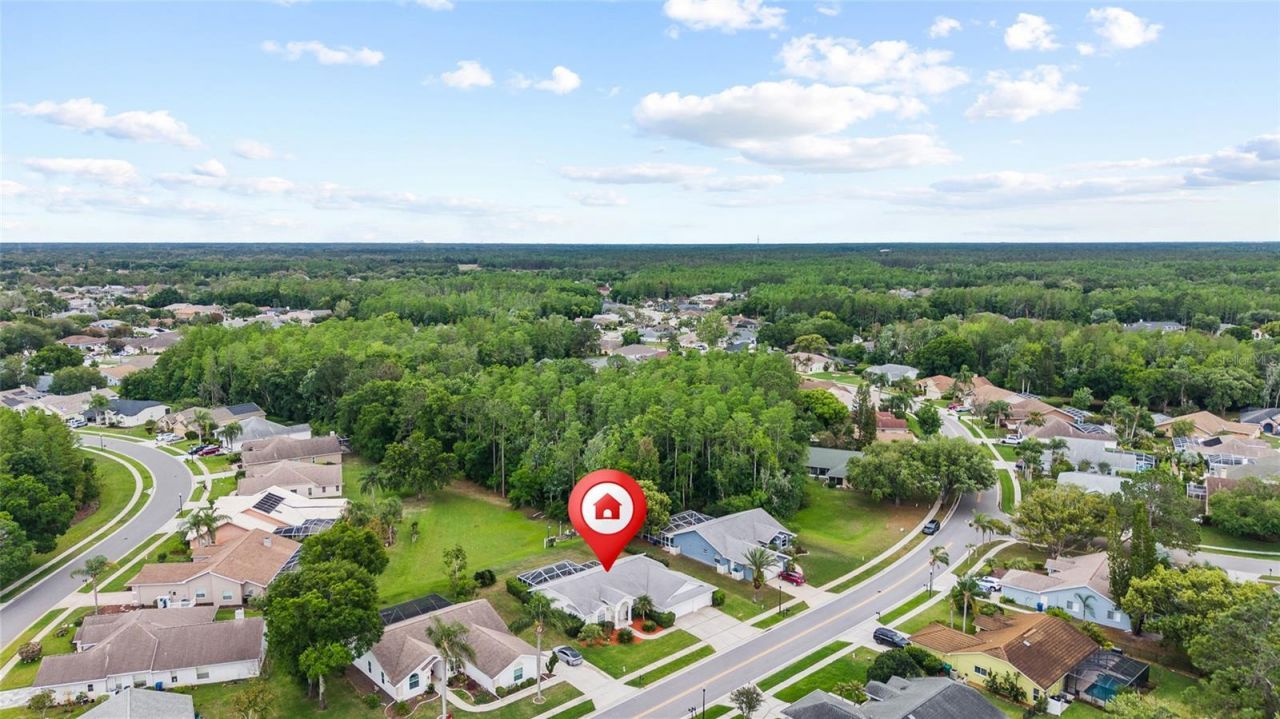 1442 Kinsmere Drive , Trinity, FL 34655 Photo