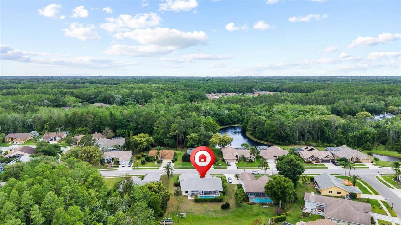 1442 Kinsmere Drive, Trinity, FL 34655 Photo