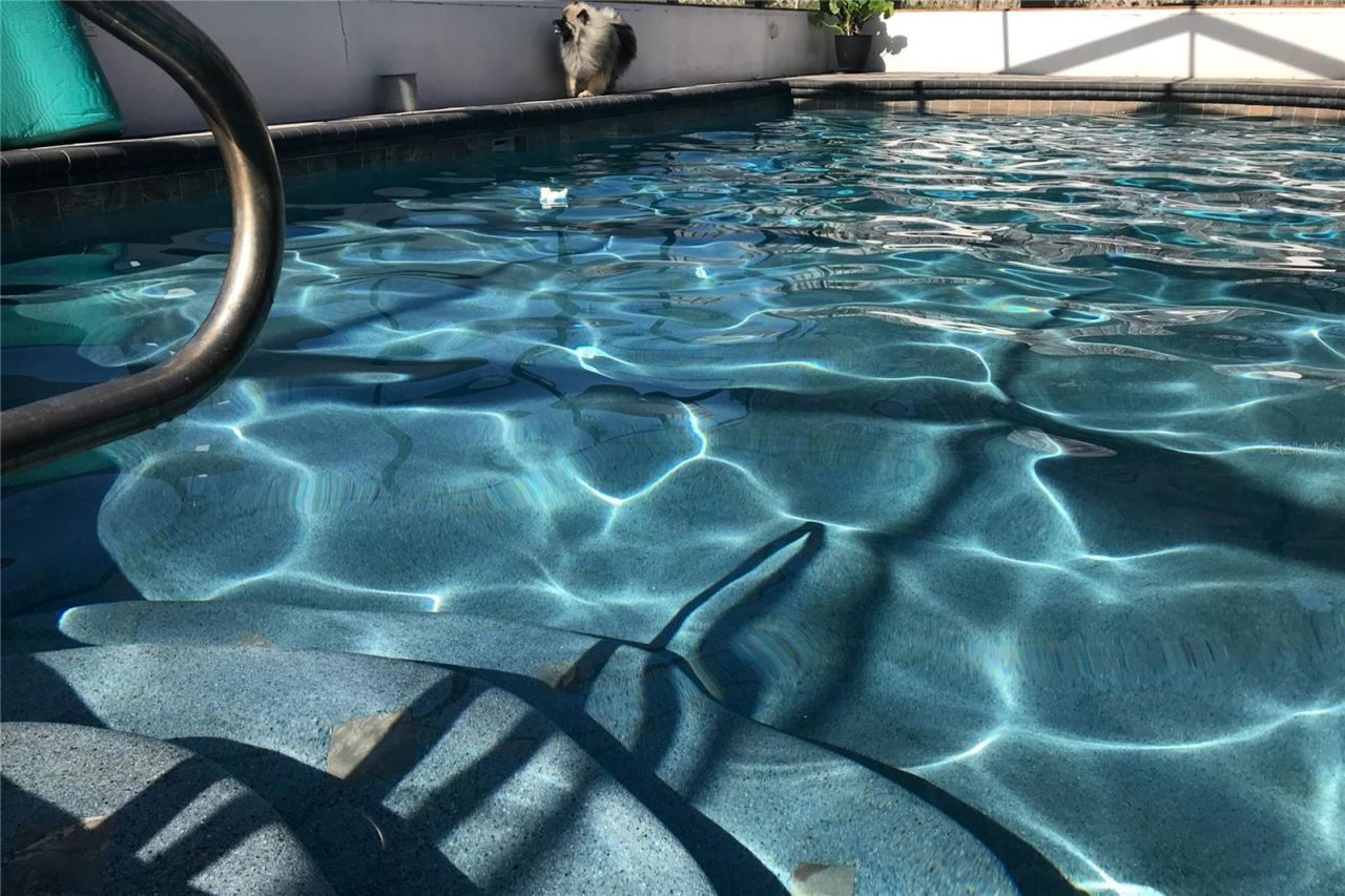 1497 Overland Drive, Spring Hill, FL 34608 Photo