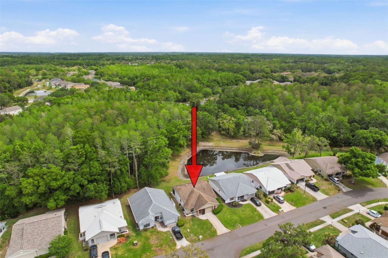 11704 Aspenwood Drive , New Port Richey, FL 34654 Photo